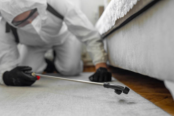 Professional Bed Bug Control technician working in Valley Springs, CA