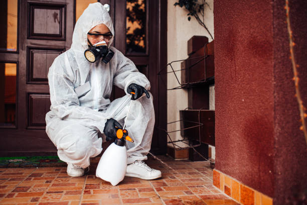 Reliable Bed Bug Control contractor in Valley Springs, CA by Nex Pest Control