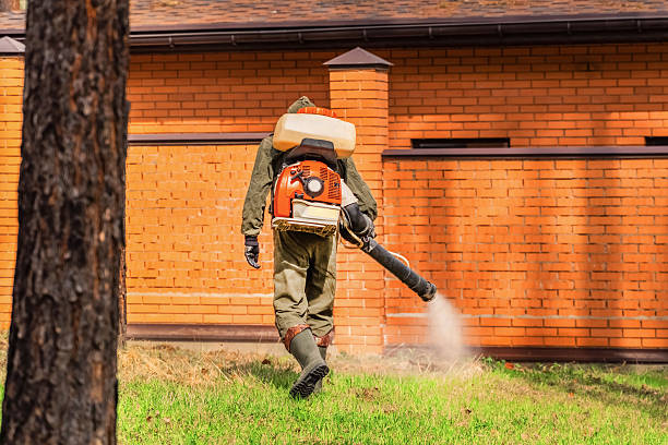 Trusted Rodent Control service in Valley Springs, CA - Nex Pest Control